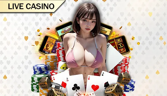 Casino DOL138
